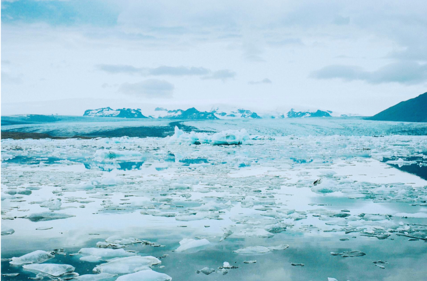 protecting our planet  Photo by Jaymantri from Pexels: https://www.pexels.com/photo/cold-glacier-iceland-melting-4797/       